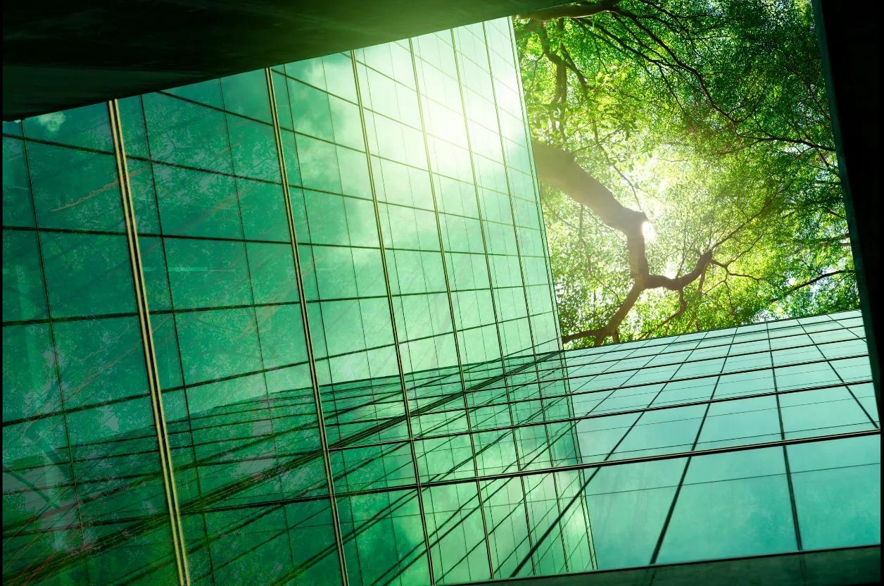 ESG & Phát triển bền vững